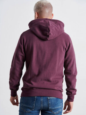 Ανδρικό Φούτερ Ζακέτα Burgundy